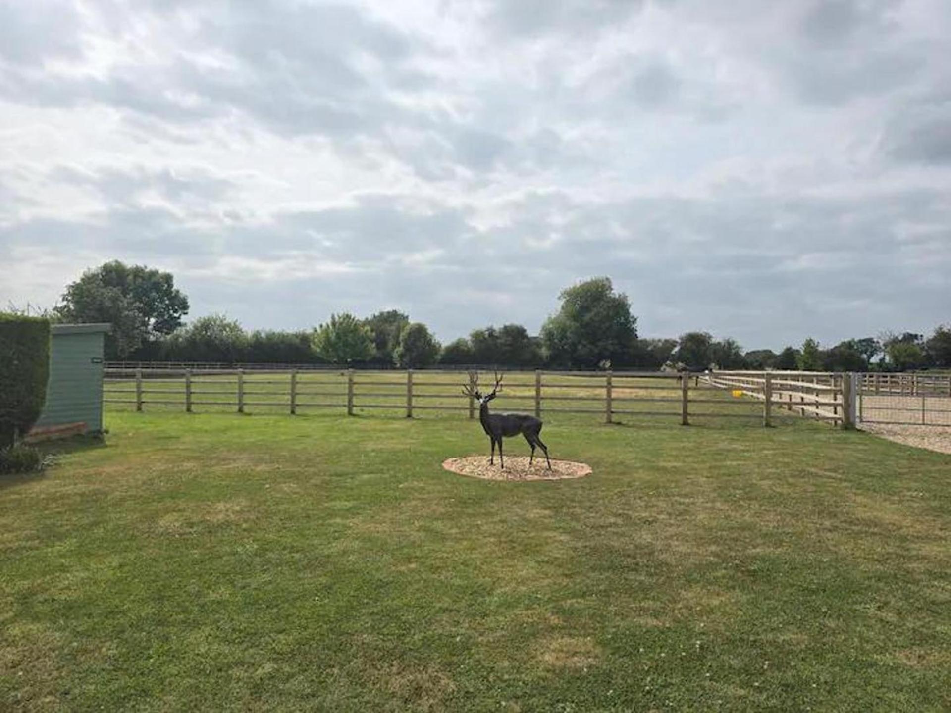 Stable View Barn - Log Burner & Dog Friendly Villa Doncaster Exterior photo